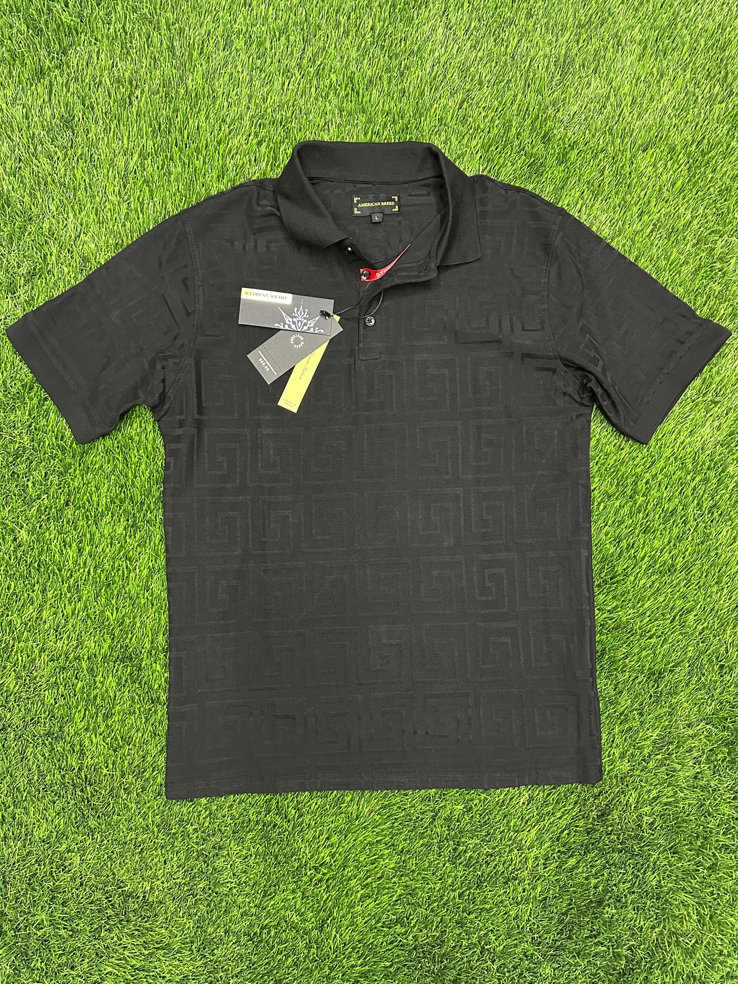 Polo American Breed
